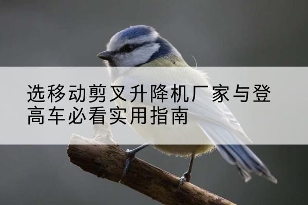 温宿电动升降机厂家-选移动剪叉升降机厂家与登高车必看实用指南