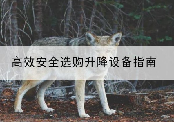 温宿升降货梯厂家推荐-*安全选购升降设备指南