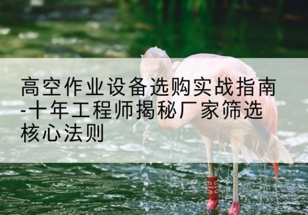 温宿剪叉式升降机厂家-高空作业设备选购实战指南-十年工程师揭秘厂家筛选核心法则